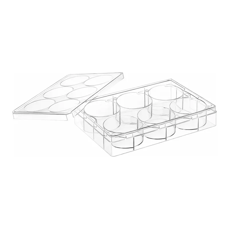 Greiner Bio One CELL CULTURE MULTIWELL PLATE, 6 WELL, PS, CLEAR,CELLSTAR®, TC, LID WITH CONDENSATION RINGS, STERILE, SINGLE PACKED