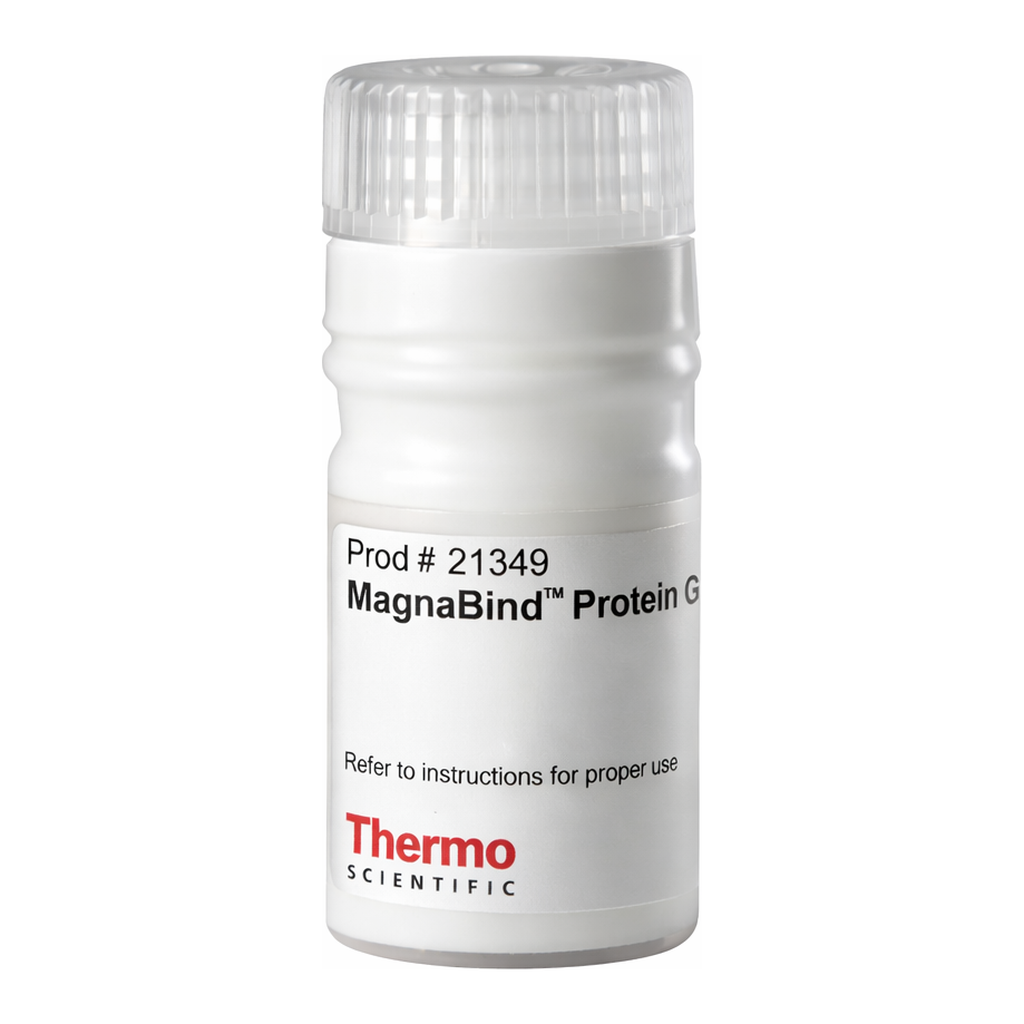 Thermo Fisher Scientific MagnaBind Protein G Beads