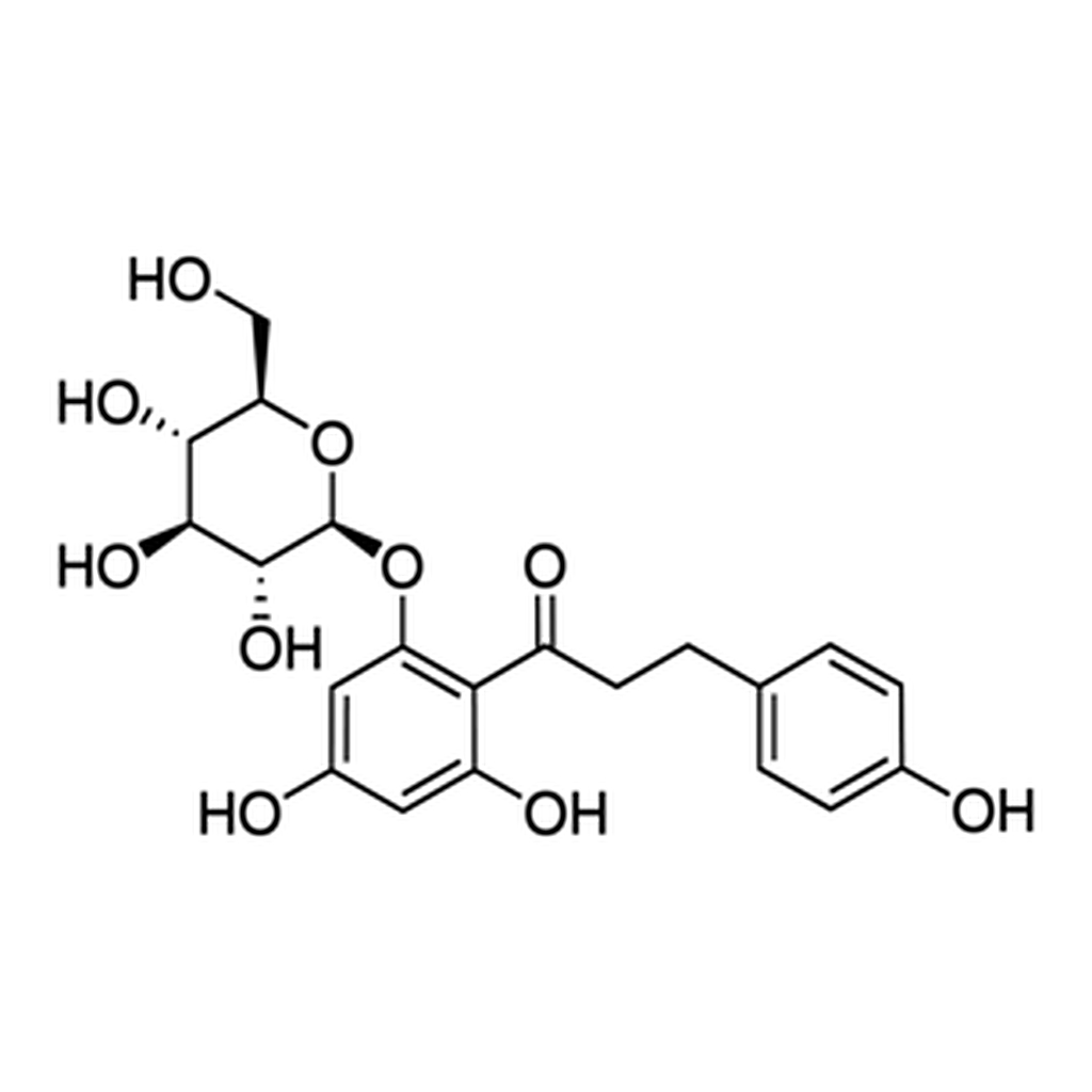 Merck PHLORIDZIN