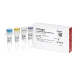 Thermo Fisher Scientific Lyo-ready Bst DNA Polymerase (6 U/μL), 1200 U