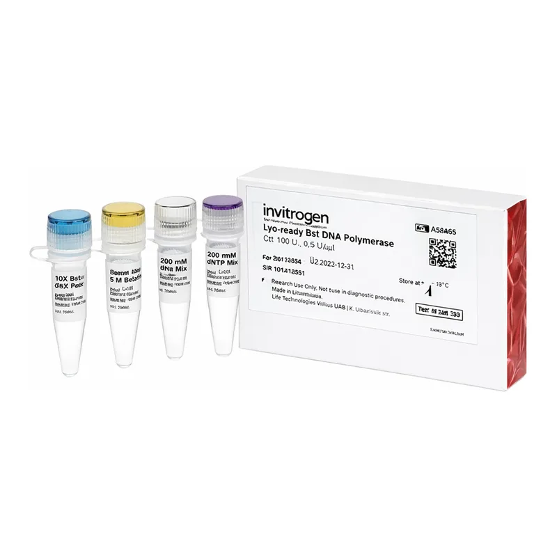 Thermo Fisher Scientific Lyo-ready Bst DNA Polymerase (6 U/μL), 1200 U