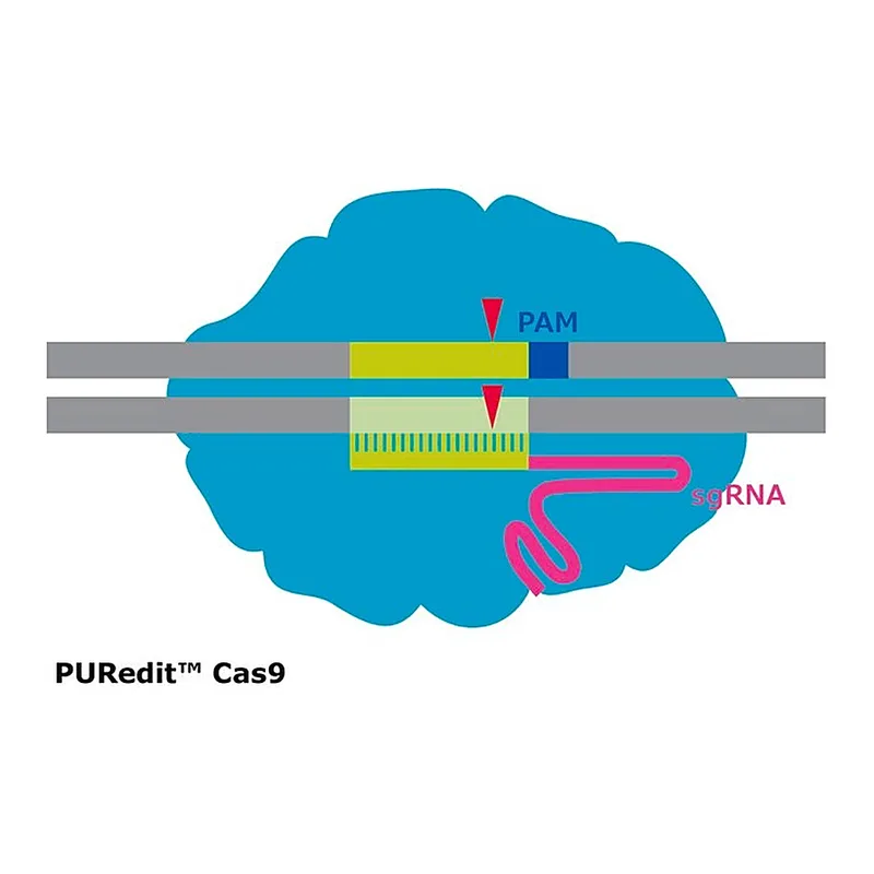 Merck PURedit(R) Cas9 Protein