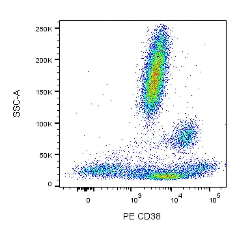 BD PE Mouse Anti-Human CD38