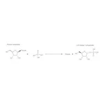 Merck NUCLEOSIDE PHOSPHORYLASE, BACTERIAL