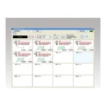 AS ONE Data Recorder Software for Electronic Balance B-16