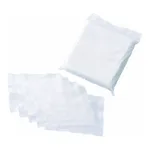 ASPURE AP Sterilization Clean Wiper AP5509