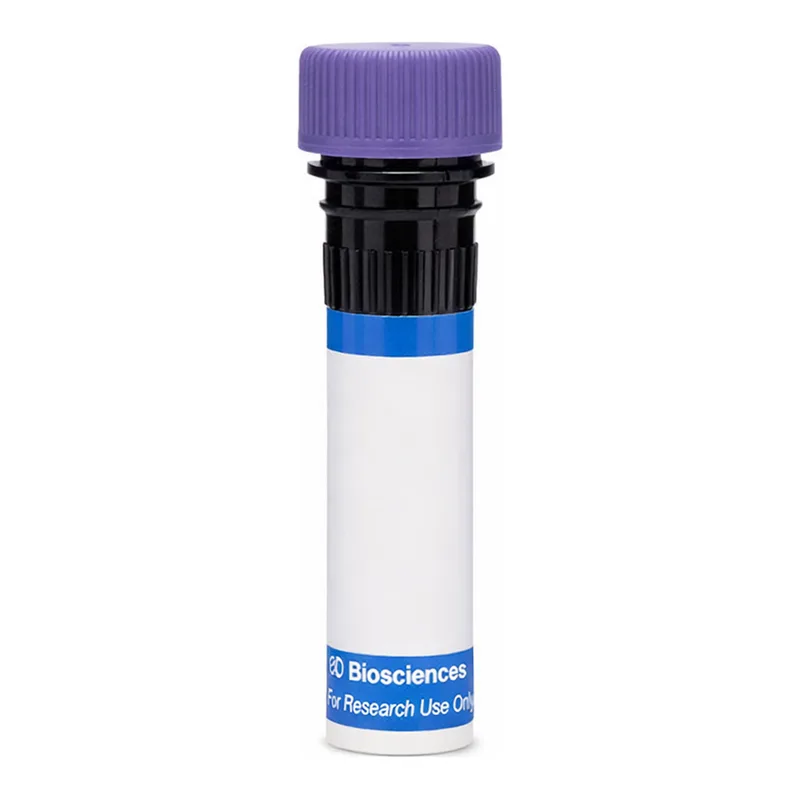 BD RB744 Rat Anti-Mouse C3a Receptor