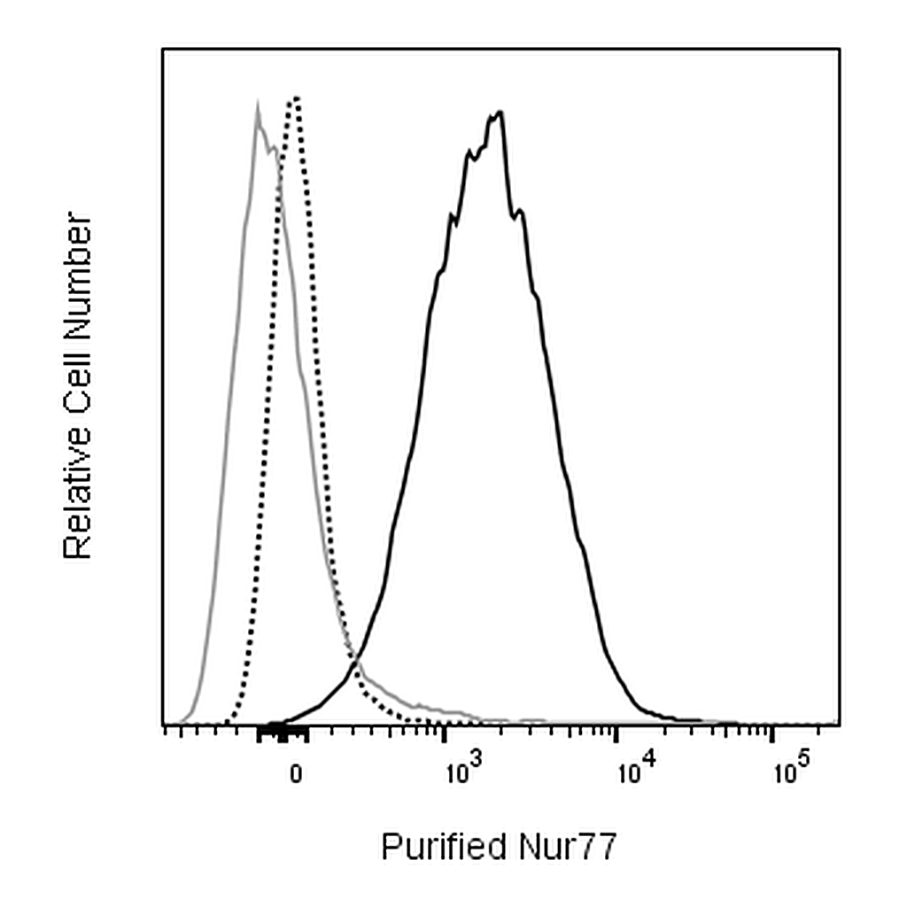 BD Purified Mouse Anti-Nur77