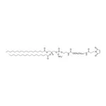 Merck DSPE-PEG(2000) MALEIMIDE