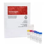 Thermo Fisher Scientific EnzChek Gelatinase/Collagenase Assay Kit, 250-2,000 assays