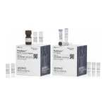 Thermo Fisher Scientific PureQuant Th17 Assay