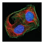 Merck MIX-N-STAIN CF647 ANTIBODY LABELING KIT