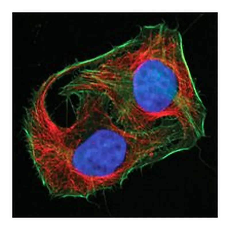 Merck MIX-N-STAIN CF647 ANTIBODY LABELING KIT