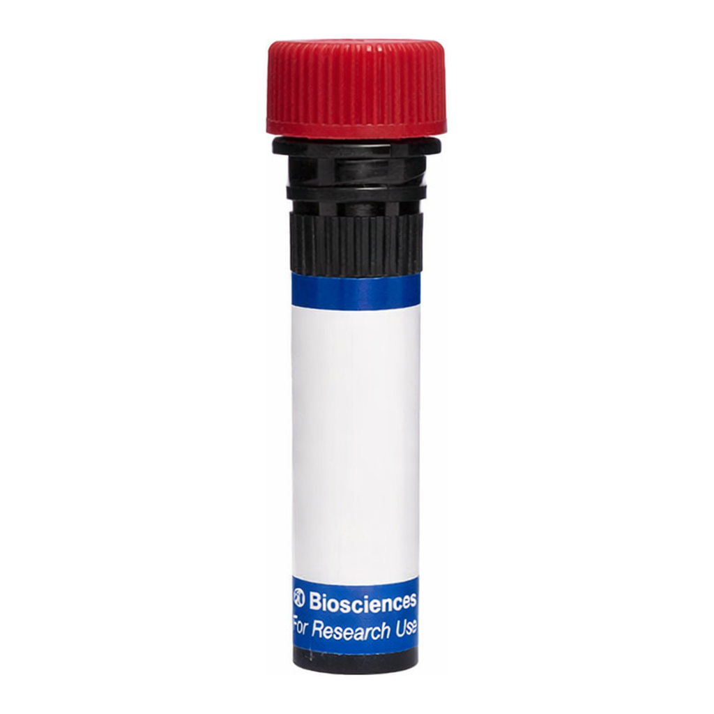 BD RB670 Mouse Anti-Human Carbonic Anhydrase IX