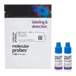 Thermo Fisher Scientific Cell Sorting Set-up Beads (for UV lasers)