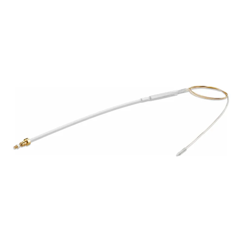 Waters ACQUITY UPLC M-Class Peptide BEH C18 Column, 300Å, 1.7 µm, 75 µm X 100 mm, 1/pk