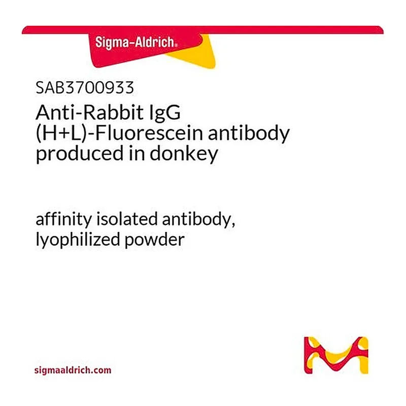 Merck Anti-Rabbit IgG (H+L)-Fluorescein antibody produced in donkey