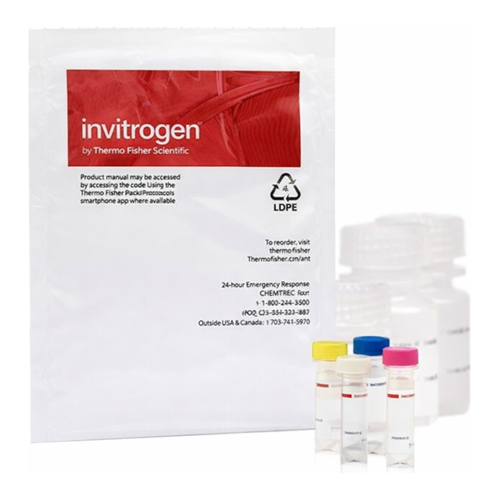 Thermo Fisher Scientific EnzChek Reverse Transcriptase Assay Kit