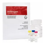 Thermo Fisher Scientific EnzChek Reverse Transcriptase Assay Kit