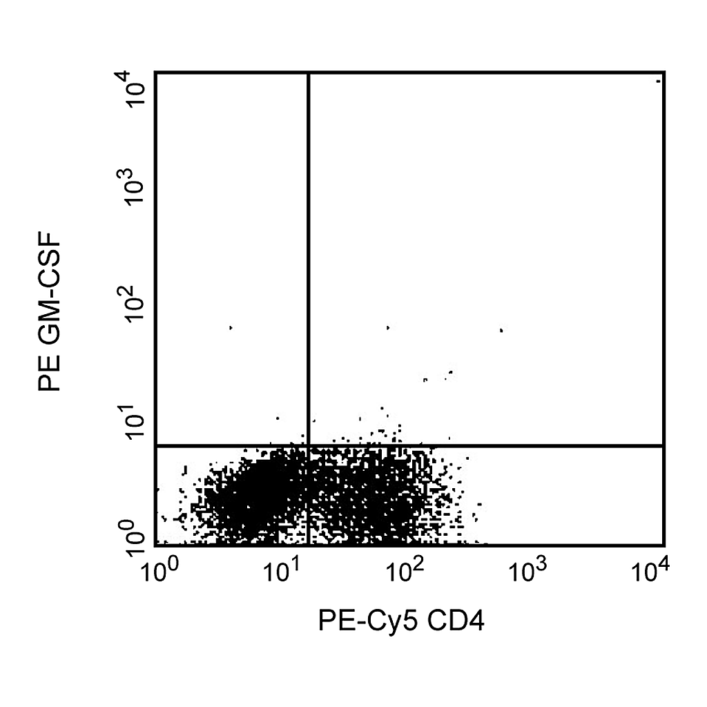 BD Purified Rat Anti-Human GM-CSF