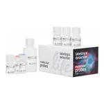 Thermo Fisher Scientific Click-iT Plus EdU Alexa Fluor 594 Flow Cytometry Assay Kit