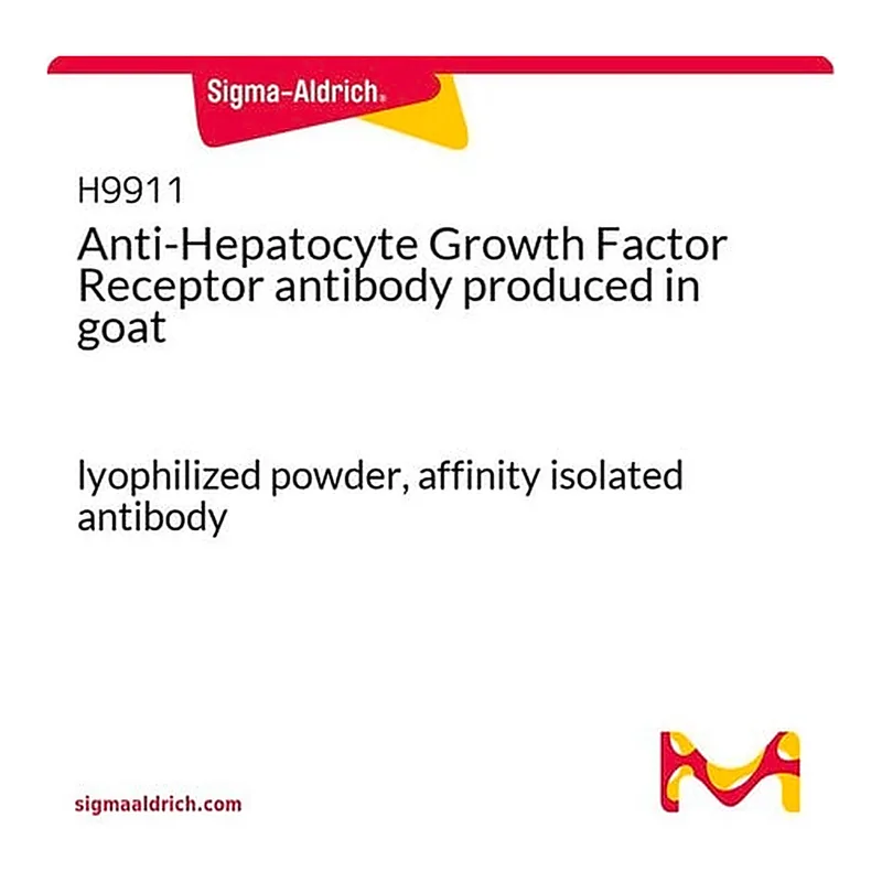 Merck Anti-Hepatocyte Growth Factor Receptor antibody produced in goat