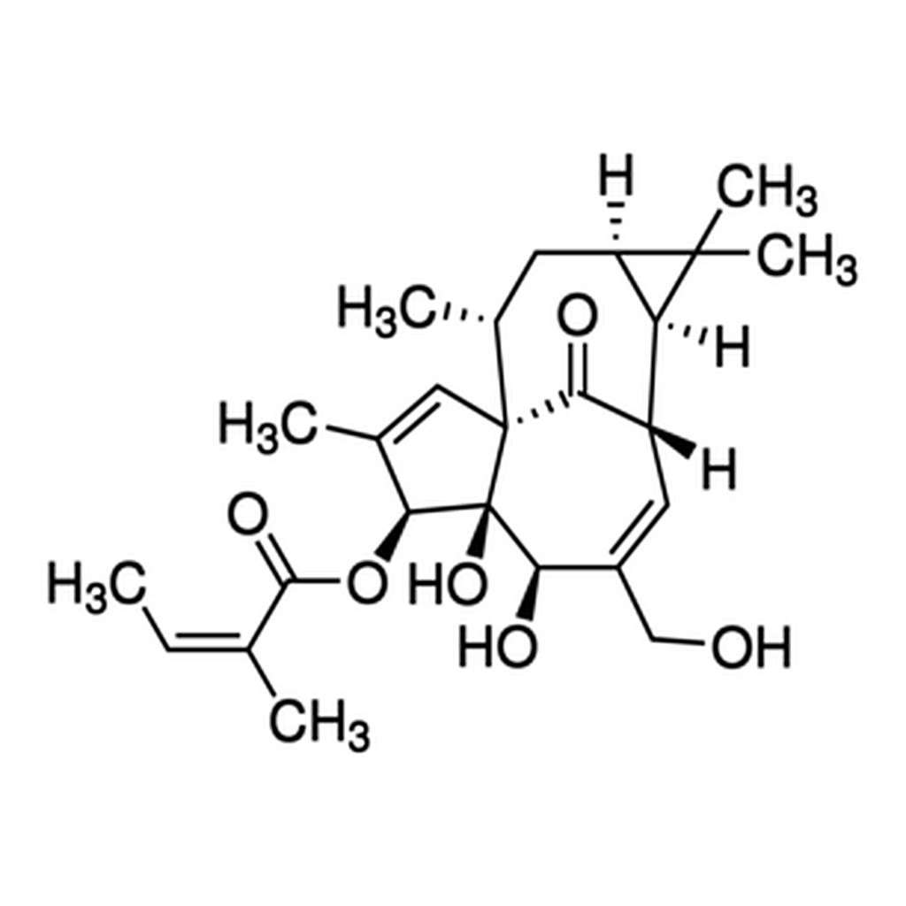 Merck INGENOL-3-ANGELATE