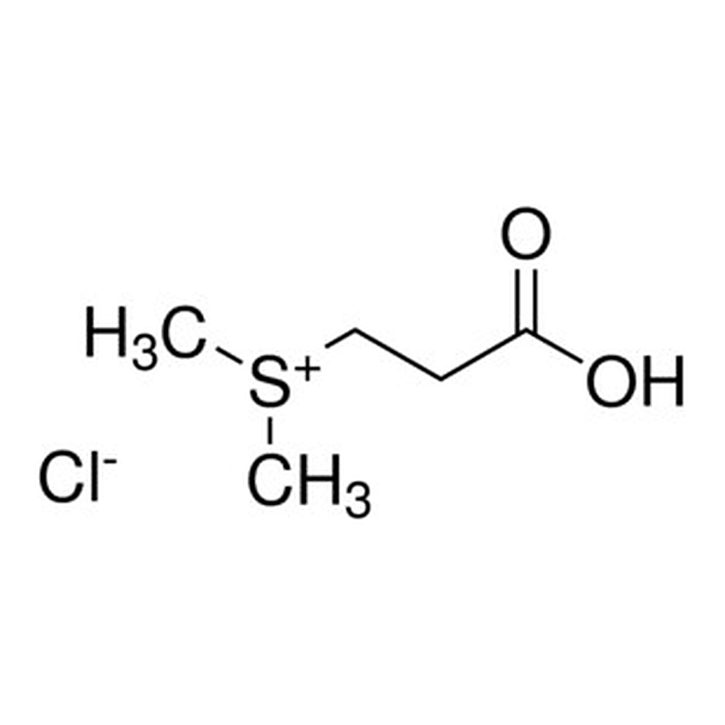 Merck DIMETHYLPROPIOTHETIN HYDROCHLORIDE, ANA&