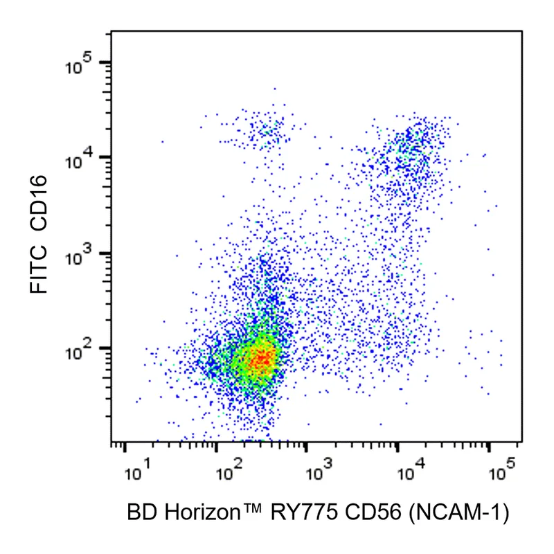 BD RY775 Mouse Anti-Human CD56 (NCAM-1)