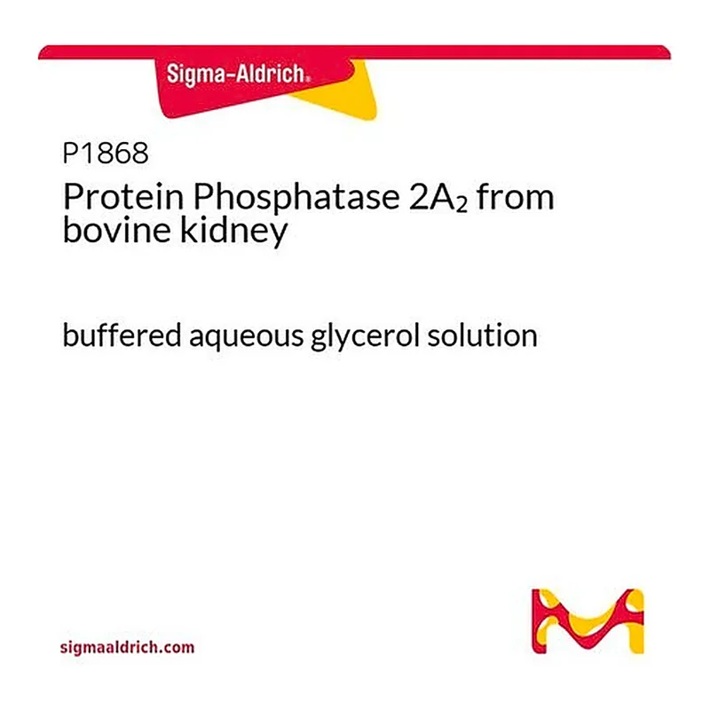 Merck Protein Phosphatase 2A2 from bovine kidney