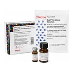Thermo Fisher Scientific Pierce Fluorescent Protease Assay Kit