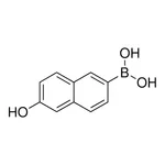 Merck 6-hydroxy-2-naphthaleneboronic acid