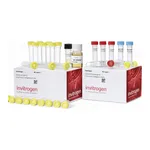 Thermo Fisher Scientific TOPO TA Cloning Kit for Subcloning, with One Shot TOP10 Electrocomp E. coli, 25 Reactions