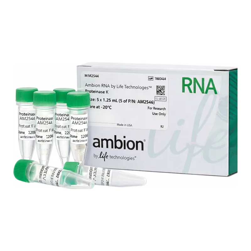 Thermo Fisher Scientific Recombinant Proteinase K Solution (20 mg/mL), 1.25 mL