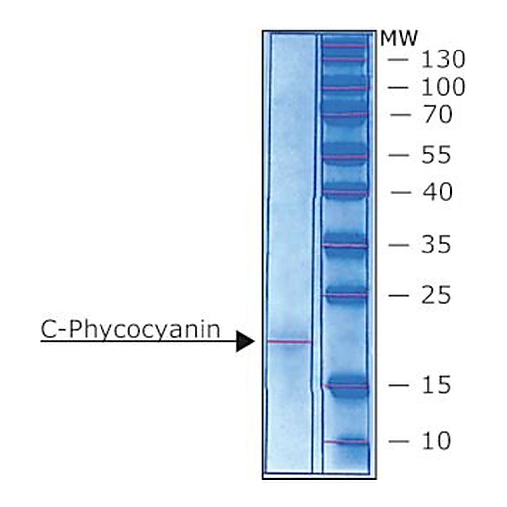 Merck C-PHYCOCYANIN PARTIALLY PURIFIED FROM SP