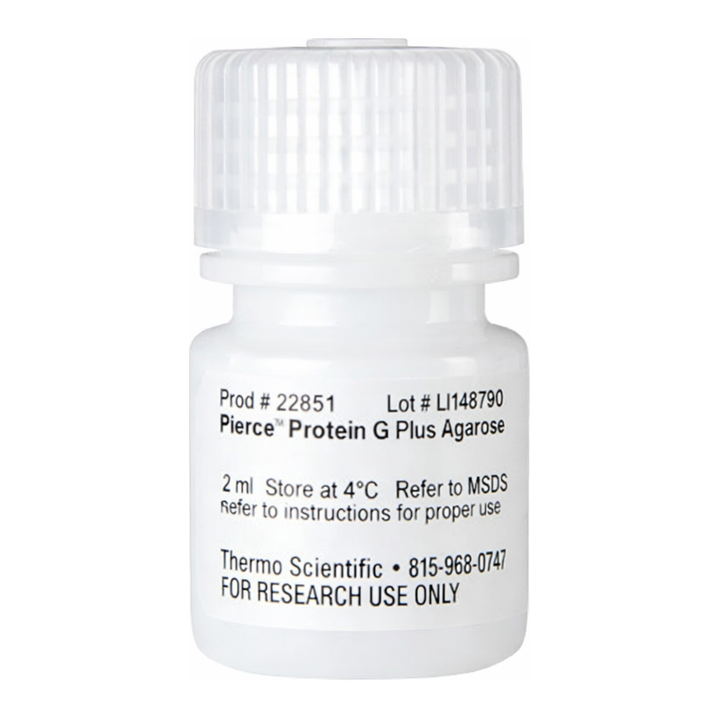 Thermo Fisher Scientific Pierce Protein G Plus Agarose, 2 mL