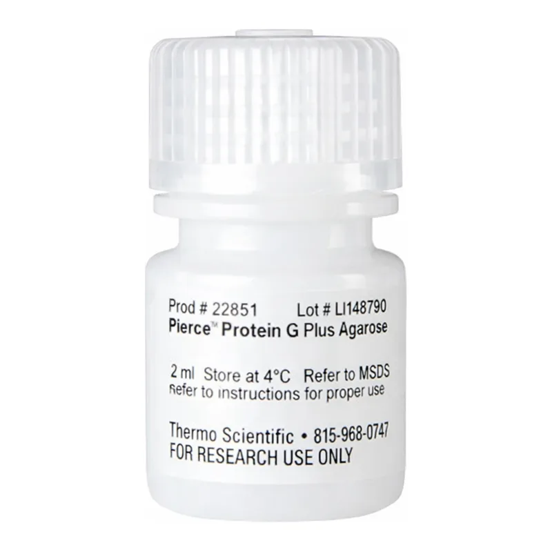 Thermo Fisher Scientific Pierce Protein G Plus Agarose, 2 mL