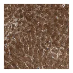 Atlas Antibodies Anti-ZSCAN31 Antibody