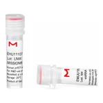Merck MISSION(R) esiRNA