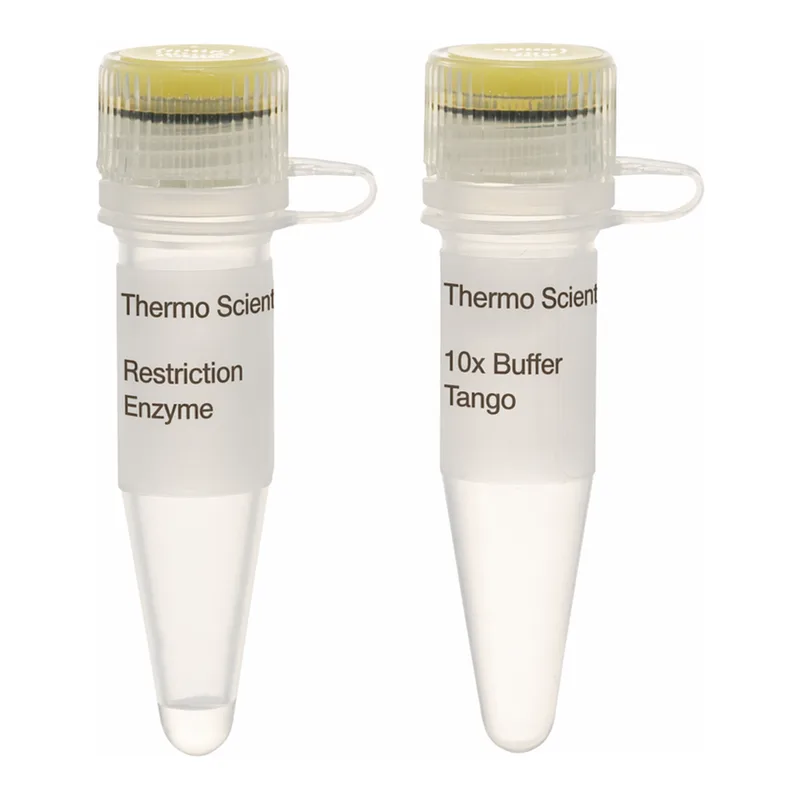 Thermo Fisher Scientific TaaI (HpyCH4III) (10 U/μL), 200 units