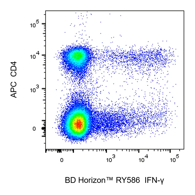 BD RY586 Rat Anti-Mouse IFN-γ