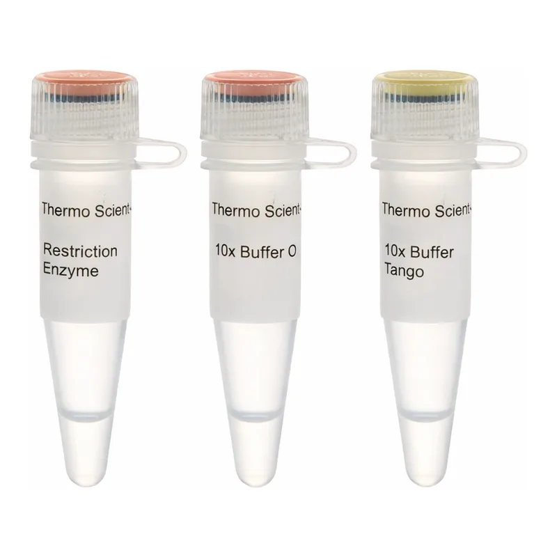 Thermo Fisher Scientific PagI (BspHI) (10 U/μL), 400 units