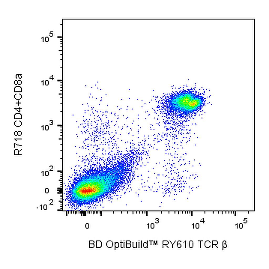 BD RY610 Hamster Anti-Mouse TCR β