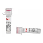 Merck MISSION(R) esiRNA