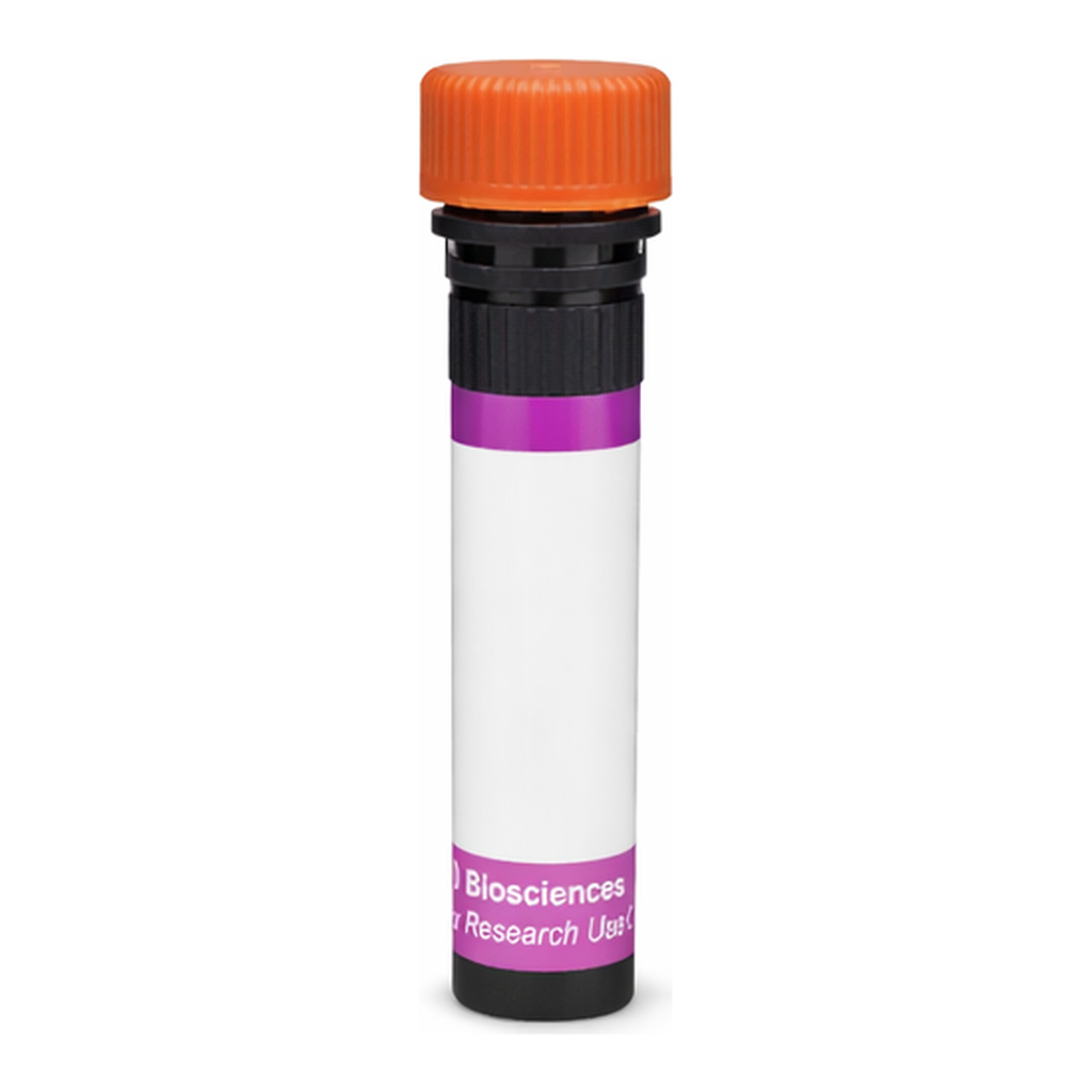 BD BV605 Rat Anti-Mouse Delta-Like Protein 1