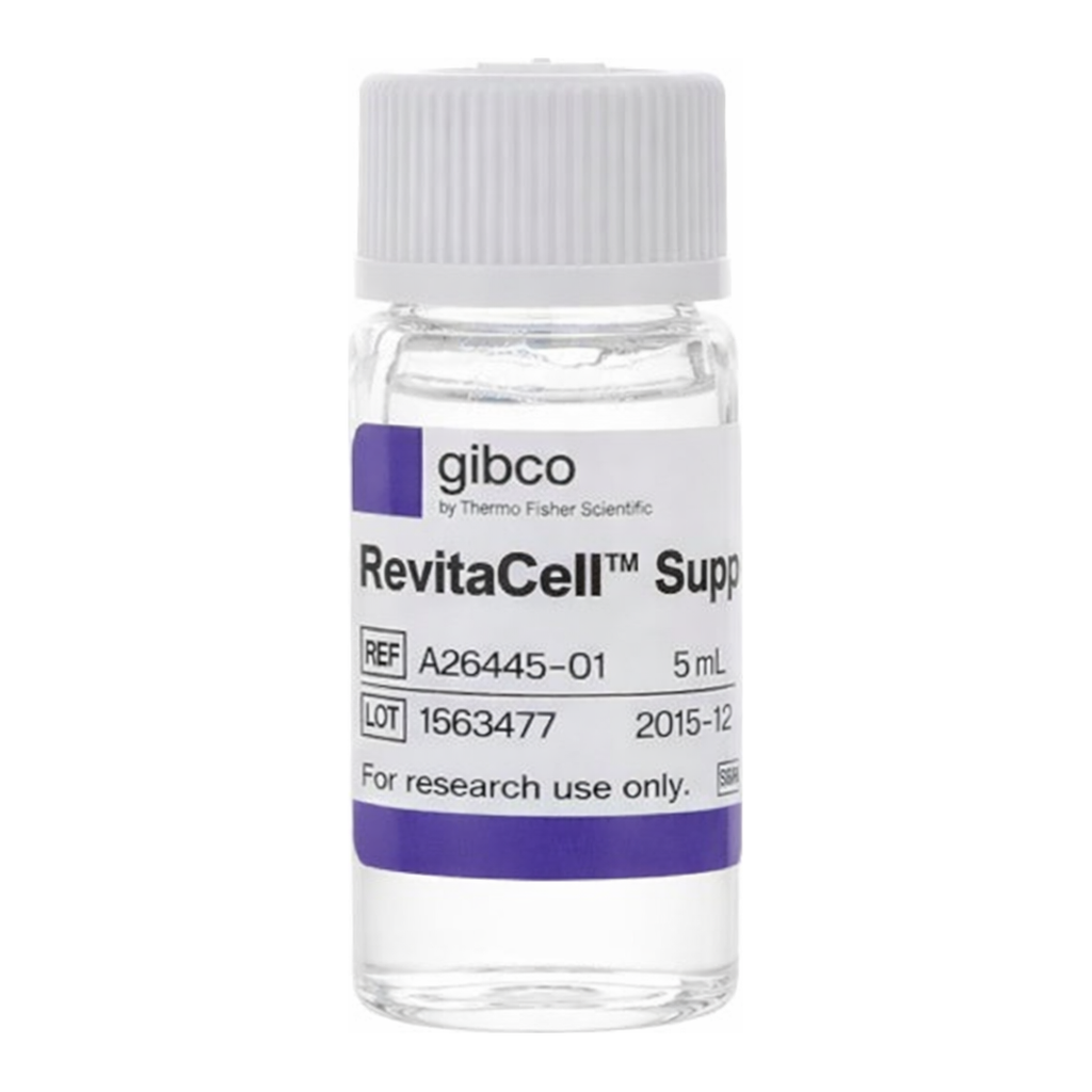 Thermo Fisher Scientific RevitaCell Supplement (100X)