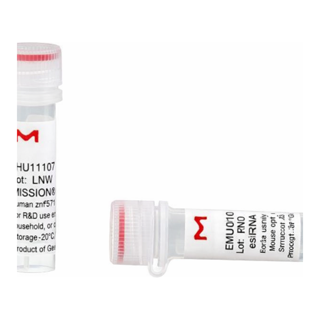 Merck MISSION(R) esiRNA