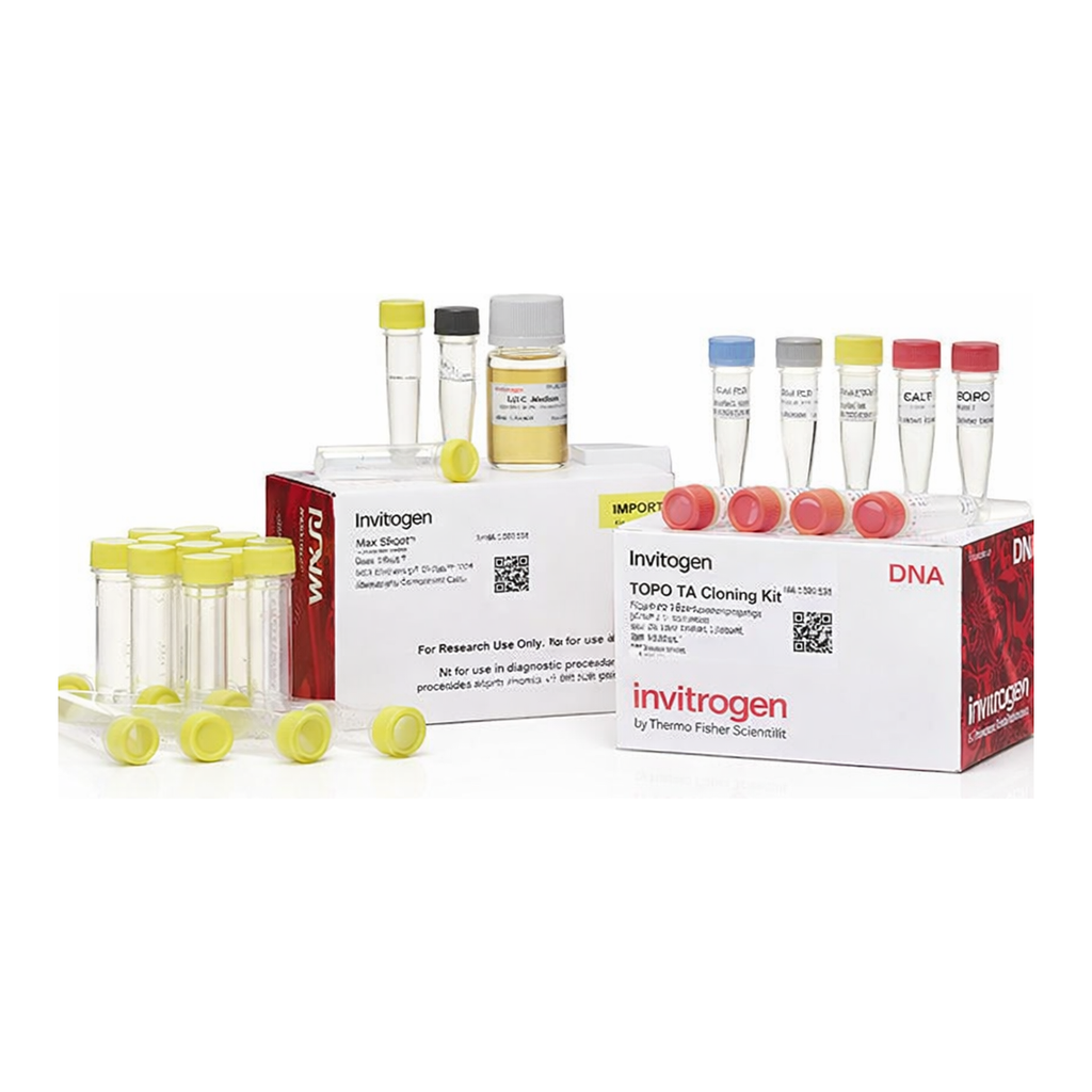Thermo Fisher Scientific TOPO TA Cloning Kit, with One Shot MAX Efficiency DH5α-T1<sup>R</sup> E. coli, 25 Reactions