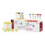 Thermo Fisher Scientific TOPO TA Cloning Kit, with One Shot MAX Efficiency DH5α-T1<sup>R</sup> E. coli, 25 Reactions