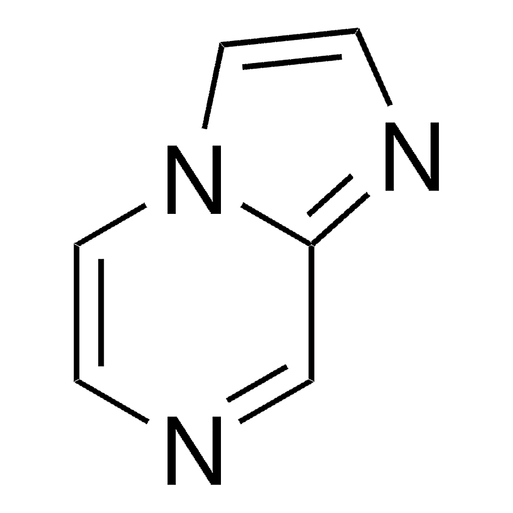 Merck Imidazo[1,2-a]pyrazine
